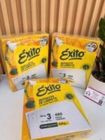 HOJAS ÉXITO / REPUESTO CARPETA 480 hjs - Imagen 2